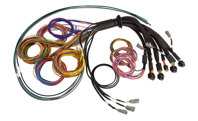 Load image into Gallery viewer, Haltech NEXUS R5 Universal Wire-In Harness - 2.5M (8ft)
