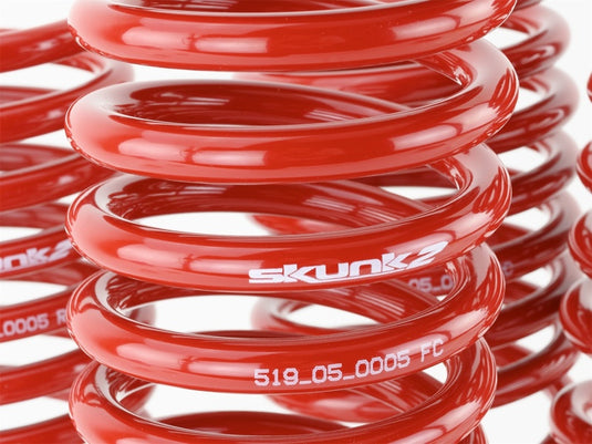 Skunk2 94-01 Acura Integra Lowering Springs (2.50in - 2.25in.) (Set of 4)