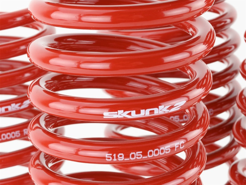 Load image into Gallery viewer, Skunk2 96-00 Honda Civic Lowering Springs (2.50in - 2.25in.) (Set of 4)
