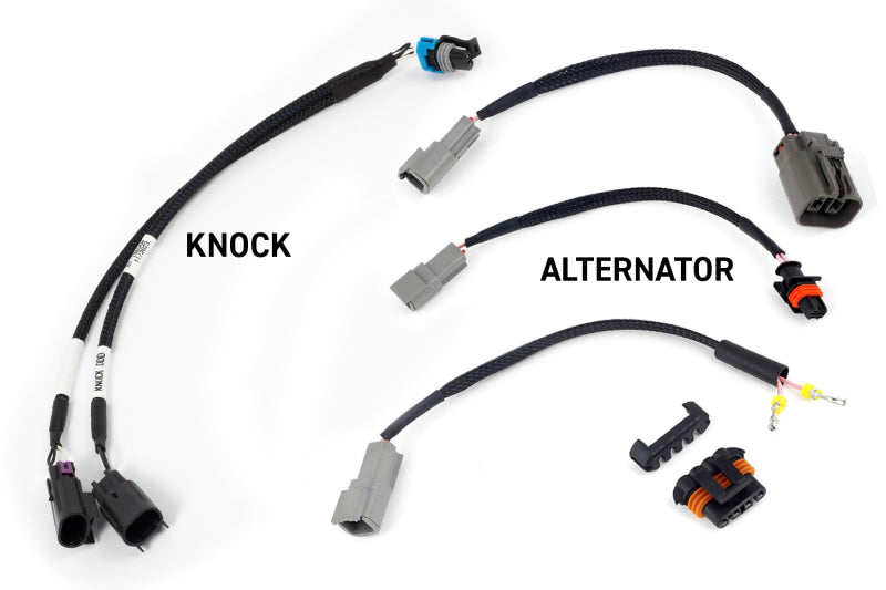 Load image into Gallery viewer, Haltech NEXUS Rebel LS Kit (Suits Gen III) Cable Throttle/EV1 Injectors/Manual Transmission
