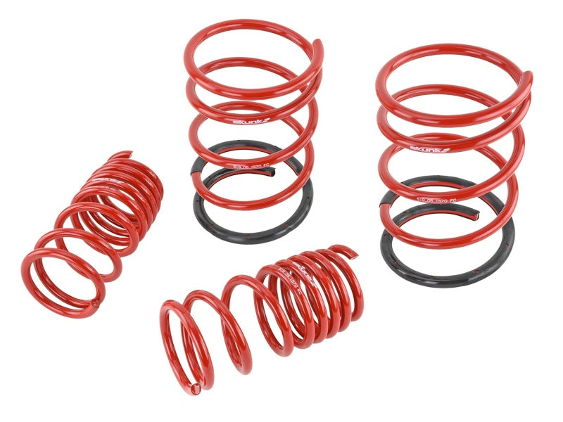 Load image into Gallery viewer, Skunk2 01-05 Honda Civic Lowering Springs (2.25in - 2.00in.) (Set of 4)
