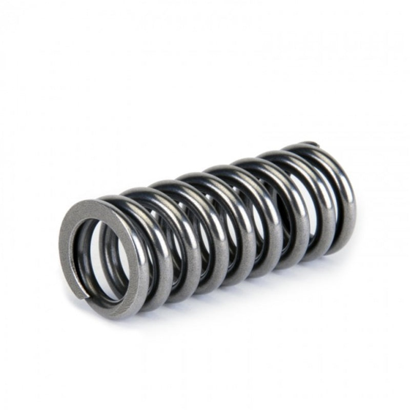 Load image into Gallery viewer, Skunk2 Alpha Series Honda D Series VTEC Valve Spring Set

